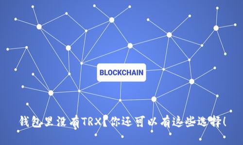 钱包里没有TRX？你还可以有这些选择！