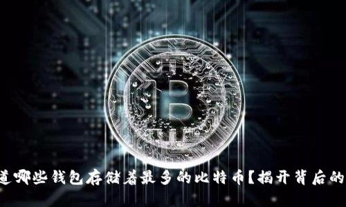 你知道哪些钱包存储着最多的比特币？揭开背后的秘密！