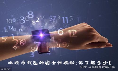 比特币钱包的安全性揭秘：你了解多少？