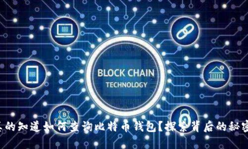 你是否真的知道如何查询比特币钱包？探索背后的秘密与技巧！