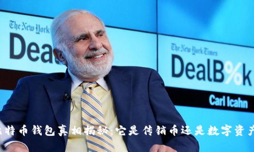 比特币钱包真相揭秘：它是传销币还是数字资产？