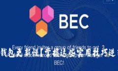 比特币钱包更新慢？掌握这些实用技巧逆转局面