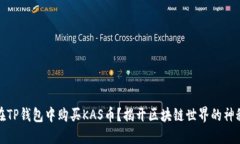 如何在TP钱包中购买KAS币？揭开区块链世界的神秘