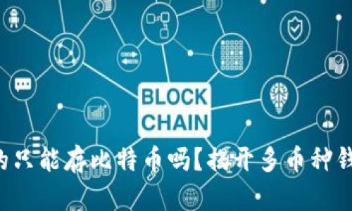 比特币钱包真的只能存比特币吗？揭开多币种钱包的神秘面纱！