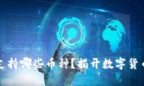 以太坊钱包支持哪些币种？揭开数字货币的神秘面纱