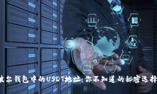 波尔钱包中的USDT地址：你不知道的秘密选择！