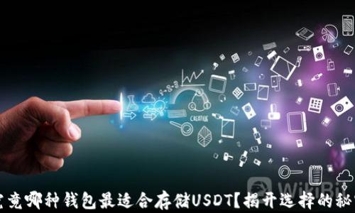 
究竟哪种钱包最适合存储USDT？揭开选择的秘密