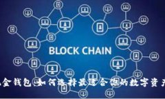 比特币现金钱包：如何选择最适合你的数字资产