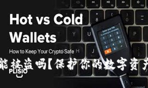 比特币钱包密码能被盗吗？保护你的数字资产安全的全面指南