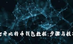 如何打开比特币钱包数据：步骤与技巧详解