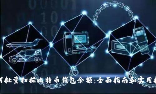 如何批量扫描比特币钱包余额：全面指南和实用技巧