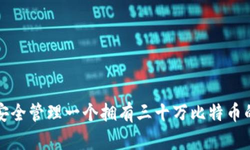 如何安全管理一个拥有三十万比特币的钱包