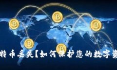 换钱包后比特币丢失？如何保护您的数字资产安