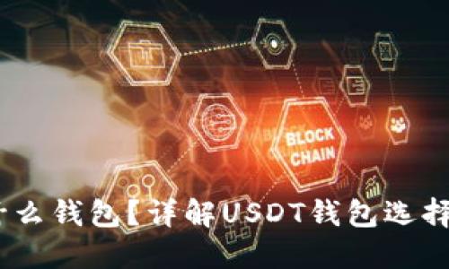 USDT使用什么钱包？详解USDT钱包选择与使用指南