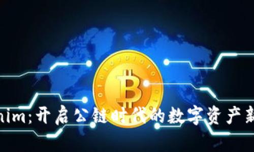 Tokenim：开启公链时代的数字资产新体验