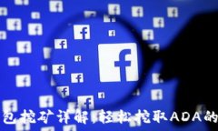   艾达币钱包挖矿详解：轻松挖取ADA的终极指南