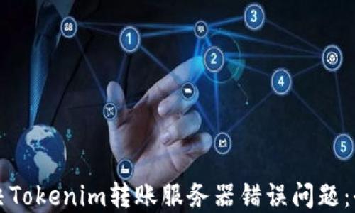 
如何解决Tokenim转账服务器错误问题：全面指南