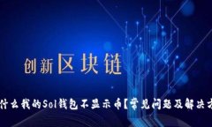 为什么我的Sol钱包不显示币？常见问题及解决方