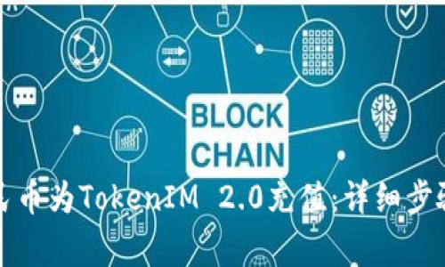 如何使用人民币为TokenIM 2.0充值：详细步骤与注意事项