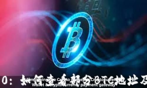 
Tokenim 2.0: 如何查看部分BTC地址及其使用指南