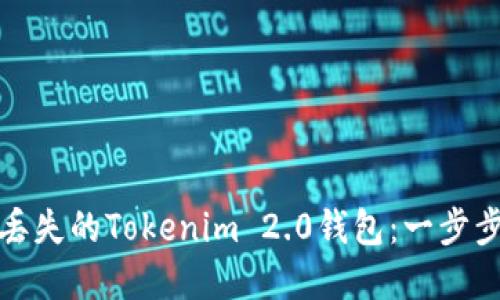 如何找回丢失的Tokenim 2.0钱包：一步步解决方案