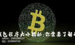 : 比特币钱包程序大小揭秘：你需要了解的所有信