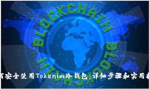 如何安全使用Tokenim冷钱包：详细步骤和实用技巧