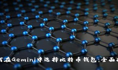 如何在Gemini中选择比特币钱包：全面指南