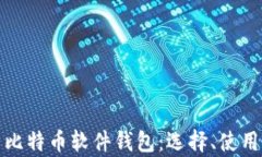 全面解析比特币软件钱包：选择、使用与安全性