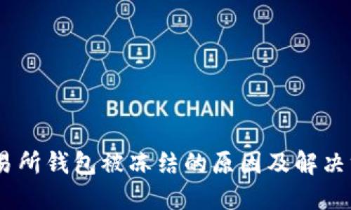 USDT交易所钱包被冻结的原因及解决方案详解