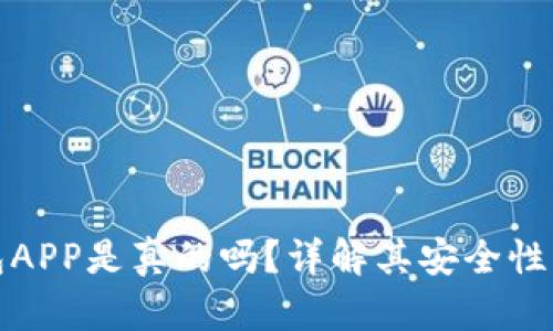 狗狗币钱包APP是真的吗？详解其安全性与使用体验