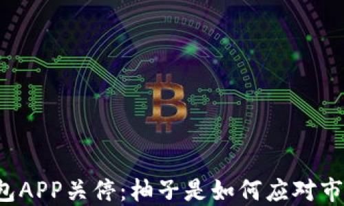 
比特币钱包APP关停：柚子是如何应对市场变迁的？