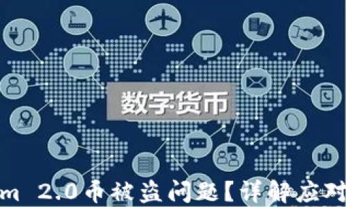 
如何处理Tokenim 2.0币被盗问题？详解应对措施与预防策略