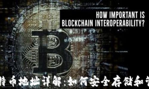 
比特币钱包与比特币地址详解：如何安全存储和管理你的数字资产