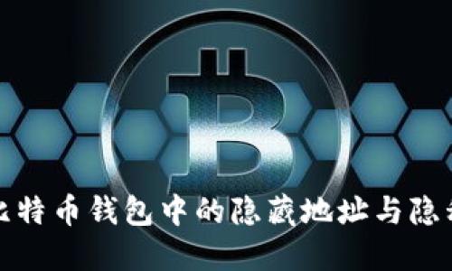 揭秘比特币钱包中的隐藏地址与隐私保护