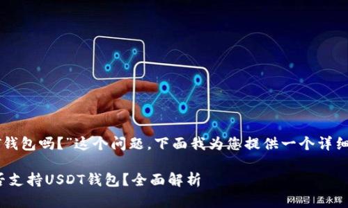 关于“Tokenim没有USDT钱包吗？”这个问题，下面我为您提供一个详细的内容大纲和相关信息。

### Tokenim平台是否支持USDT钱包？全面解析