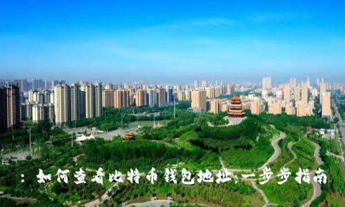 : 如何查看比特币钱包地址:一步步指南
