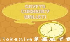 轻松下载：Tokenim苹果版下载安装教程