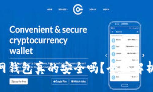 ### 
Tokenim官网钱包真的安全吗？全面解析和用户指南