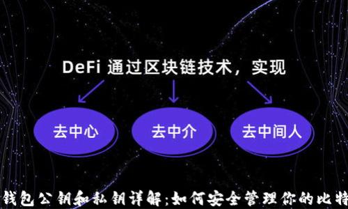 
比特币钱包公钥和私钥详解：如何安全管理你的比特币资产