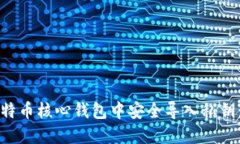 如何在比特币核心钱包中安全导入私钥：详细指