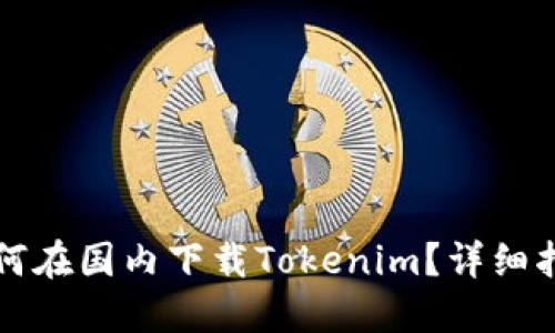 如何在国内下载Tokenim？详细指南
