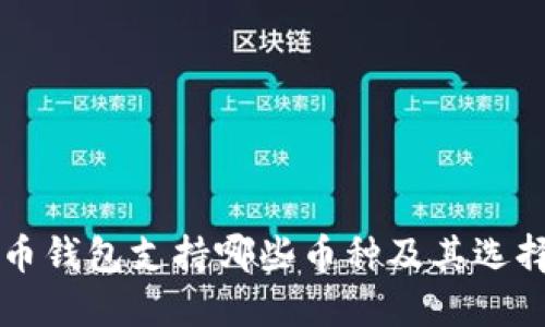 比特币钱包支持哪些币种及其选择指南