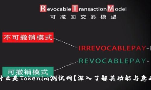 什么是Tokenim测试网？深入了解其功能与意义