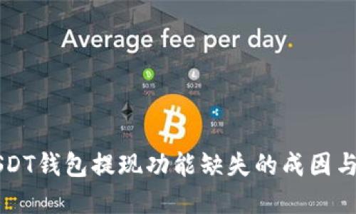 ### USDT钱包提现功能缺失的成因与解决方法