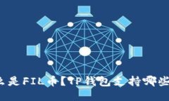 什么是FIL币？TP钱包支持哪些链？