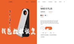 狗狗币钱包数据恢复：全面指南与实用技巧