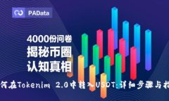 如何在Tokenim 2.0中转入USDT：详细步骤与指南