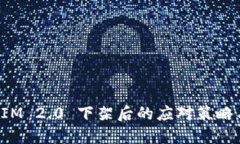 TokenIM 2.0 下架后的应对策略与选择