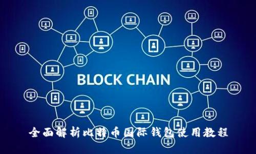 全面解析比特币国际钱包使用教程